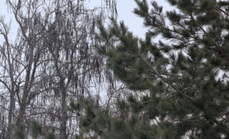 1 февраля в&nbsp;Астраханской области ожидается потепление