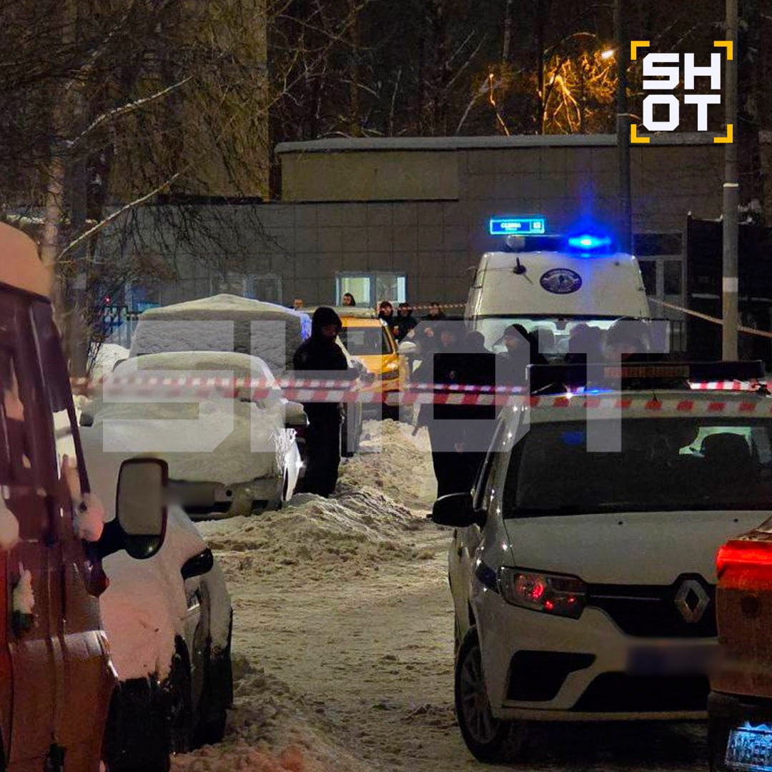 В Москве собаке не понравилась машина 58-летнего мужчины, находящегося в Астрахани