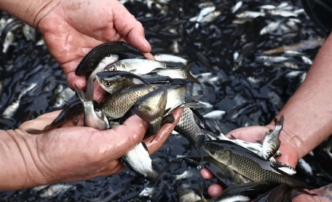 В Астраханской области подвели экологические итоги&nbsp;года