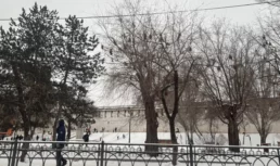 30 января в Астрахани ожидается солнечный день 30 января в Астрахани ожидается солнечный день