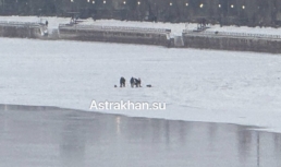 «Как дам по шее!» – в Астрахани рыбаки отказываются покидать опасный лед «Как дам по шее!» – в Астрахани рыбаки отказываются покидать опасный лед