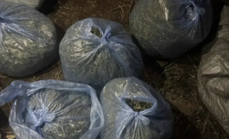 У астраханца дома нашли почти 6&nbsp;килограмм «волшебного» растения