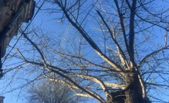 11 февраля в&nbsp;Астрахани будет морозно и&nbsp;солнечно