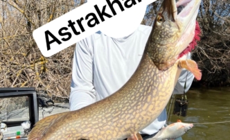 В Астраханской области разрешили ловить щуку: почему рыба не клюет в&nbsp;регионе?