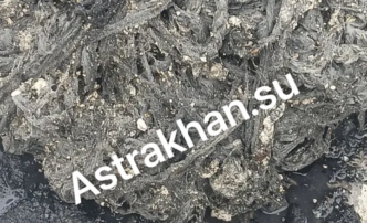 Аварий не миновать: астраханцам назвали предметы, которые категорически нельзя выбрасывать в&nbsp;канализацию