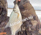 Рыбалка трудовая: что ловится в Астраханской области зимой? Рыбалка трудовая: что ловится в Астраханской области зимой?