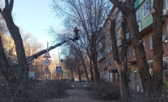 В астраханском микрорайоне провели санитарную обрезку деревьев