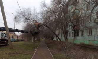 В Астрахани на улице Безжонова занялись опиловкой деревьев