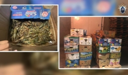 У астраханца в&nbsp;гараже нашли почти две тонны живых&nbsp;раков