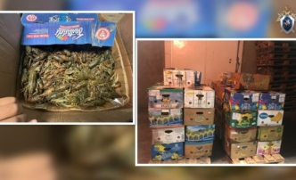 У астраханца в&nbsp;гараже нашли почти две тонны живых&nbsp;раков